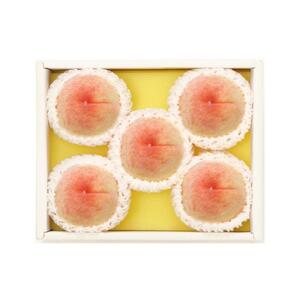【定期便2回】白桃 4～6玉 約1.1kg（7月発送）・ニューピオーネ 1房 約600g（9月発送）【定期便 白桃 桃 もも モモ ニューピオーネ 葡萄 ぶどう ブドウ 果物 フルーツ 岡山県 岡山市 おすすめ 人気】