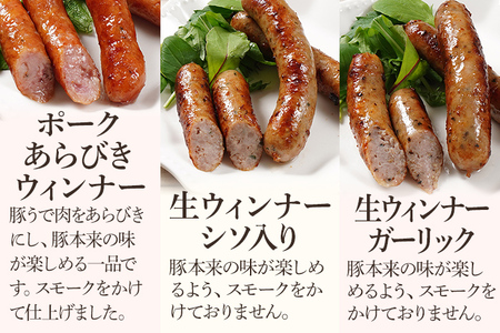 ソーセージ 10種類 食べ比べセット ソーセージ