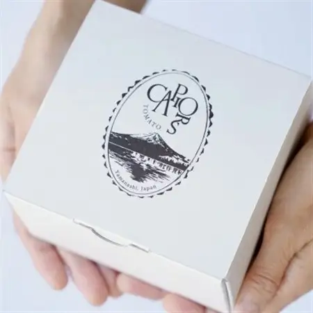 カピオトマトセレクトSサイズ(おまかせ2～3品種の詰め合わせ300g)【1583770】
