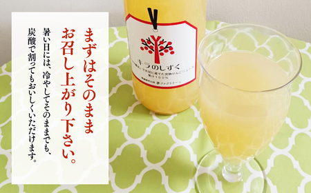 【レビューキャンペーン】青森県産　完熟りんごジュース 1L×6本[hi-0008-016]