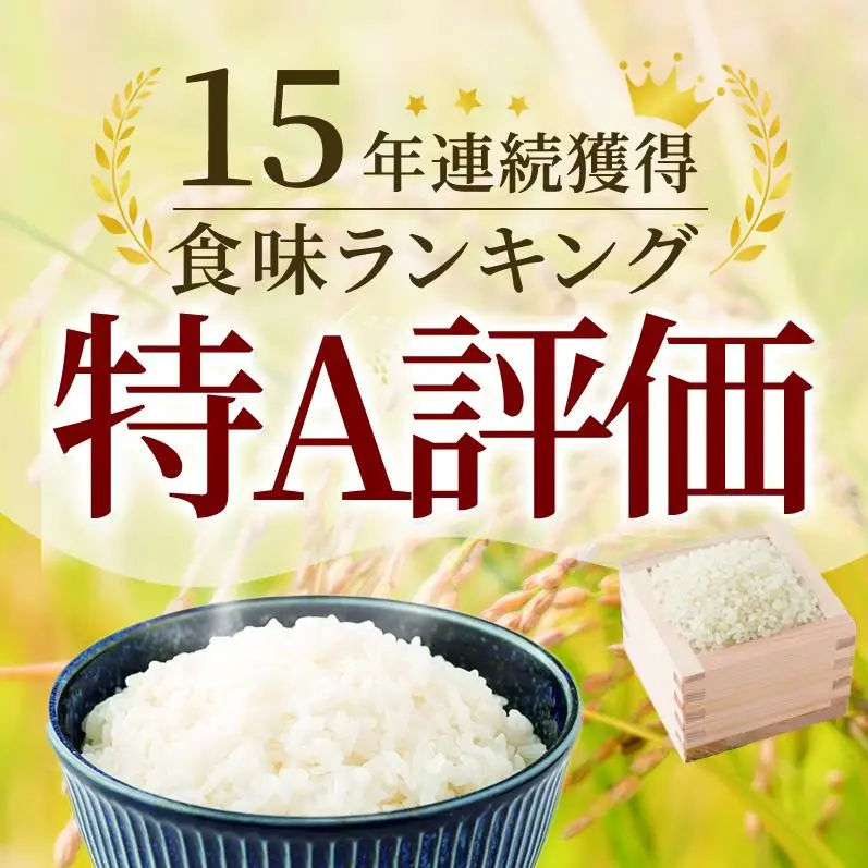 ≪ 定期便 3回 計 9kg ≫ 令和7年産 無洗米 9kg ( 3kg × 3回 ) さがびより 佐賀県産 特A 米 お米 こめ コメ 白米 五つ星 お米マイスター厳選 弁当