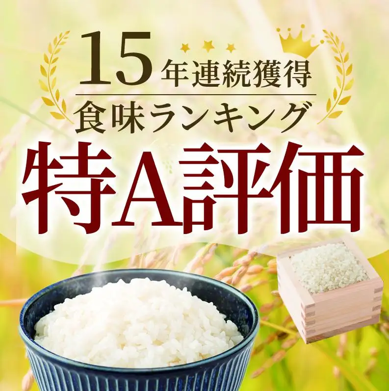 ≪ 定期便 3回 計 18kg ≫ 令和7年産 無洗米 18kg (6kg × 3回 ) さがびより 佐賀県産 特A お米 こめ コメ 白米 五つ星 お米マイスター厳選 弁当