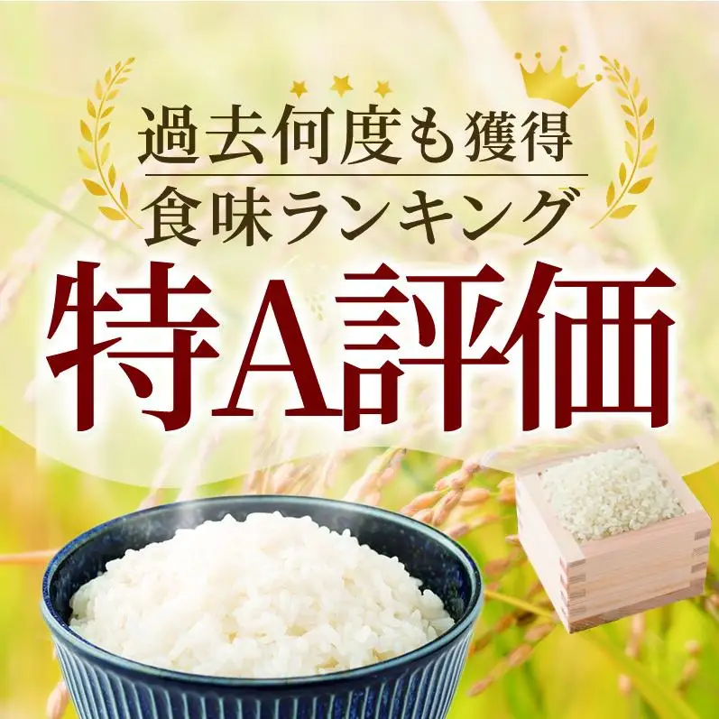 ≪ 定期便 3回 計 9kg ≫ 令和7年産 無洗米 9kg ( 3kg × 3回 ) 夢しずく 佐賀県産 特A お米 こめ コメ 白米 五つ星 お米マイスター厳選 弁当
