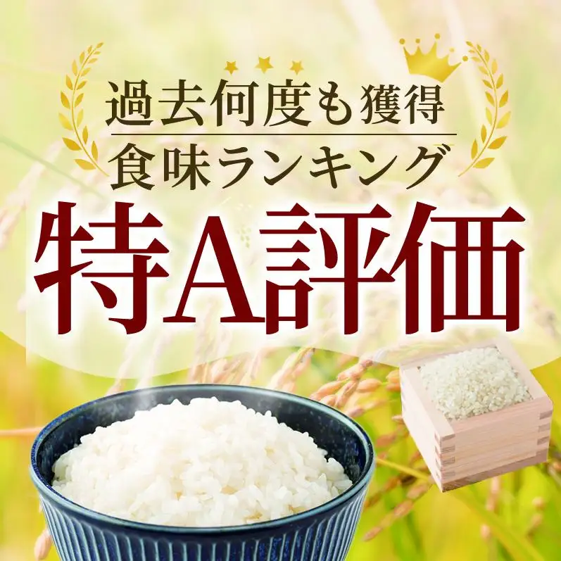 ≪ 定期便 6回 計 36kg ≫ 令和7年産 無洗米 36kg ( 6kg × 6回 ) 夢しずく 佐賀県産 特A お米 こめ コメ 白米 五つ星 お米マイスター厳選 弁当