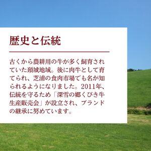 【プロも高評価！】【くびき牛】 牛肉 切り落とし 500g 国産 ブランド牛 新潟県産 上越市 深雪の郷・くびき牛