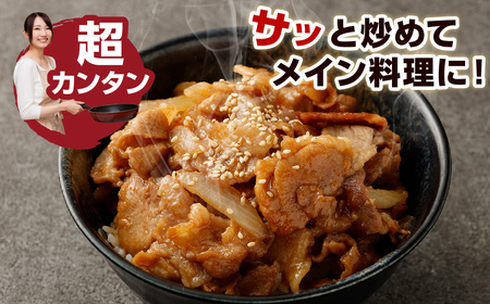 【14営業日以内発送】【辛口】九州産豚 タレ漬け 3kg 豚肉 肉 お肉 九州産 味付け 小分け 簡単調理