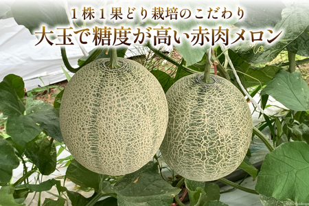 【期間限定】 大玉 赤肉 メロン 能登産 のとつむぎ 約2.3kg以上 [つむぎ会 石川県 中能登町 27ag0021]