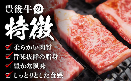 【全12回定期便】【訳あり】おおいた豊後牛 焼肉 切り落とし 500g 豊後牛 牛肉 焼肉 切り落とし 大分 冷凍 訳あり [AREI133]