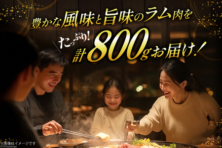ラム肉 冷凍 ラムジンギスカン 200g 4パック 計800g [焼肉銀座園 北海道 砂川市 12260734-b] 