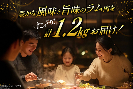 ラム肉 冷凍 ラム肩ロース 200g 6パック 計1.2kg [焼肉銀座園 北海道 砂川市 12260733-c] 