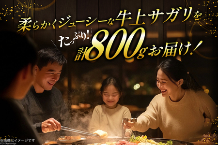 サガリ 牛 上サガリ 200g 4パック 計800g [焼肉銀座園 北海道 砂川市 12260732-b] 