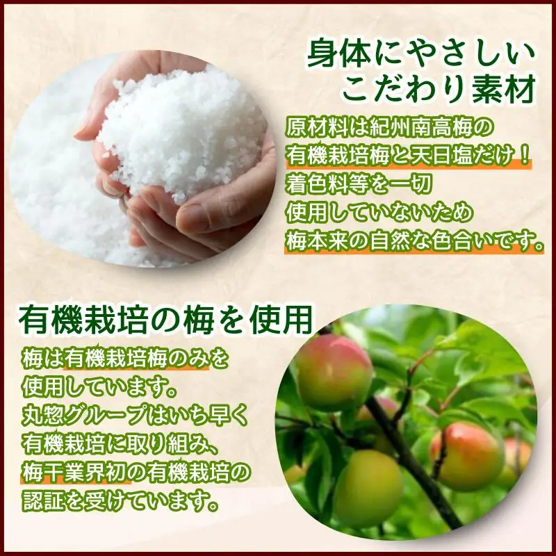 有機梅肉 150g×2個 / 梅干し 梅 南高梅 紀州南高梅 梅干 和歌山 田辺市 うめ お米 おにぎり 健康 料理 調味料 トッピング 有機栽培 【mrs037】