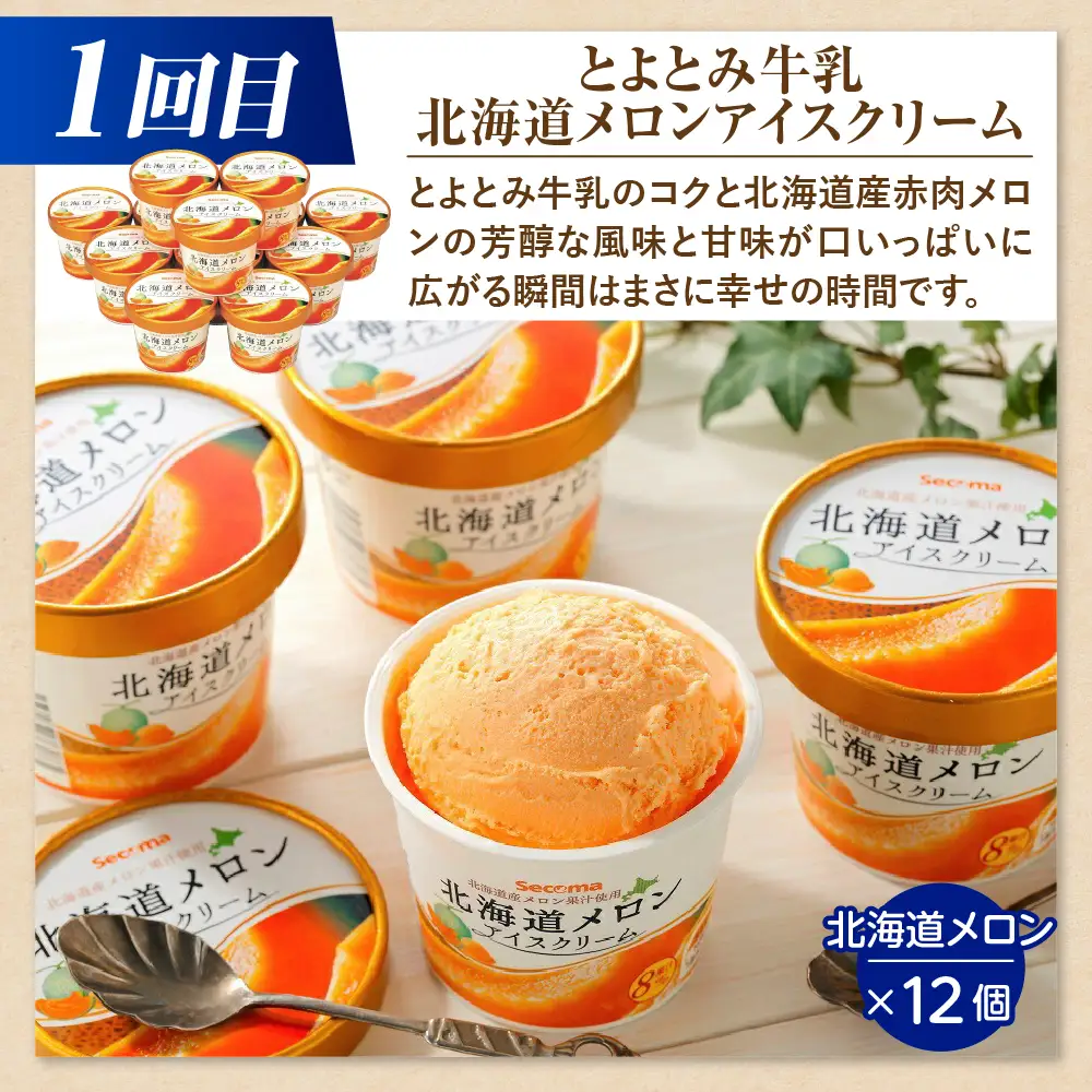 【5か月定期便】とよとみアイスクリーム ジェラート 食べくらべセット