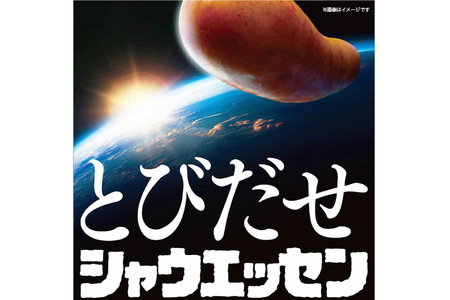 定期便 シャウエッセン 117g(約6本入) 2束 6袋 計1.404kg 12回 総計16.848kg [ 日本ハム マーケティング 静岡県 吉田町 22424428]
