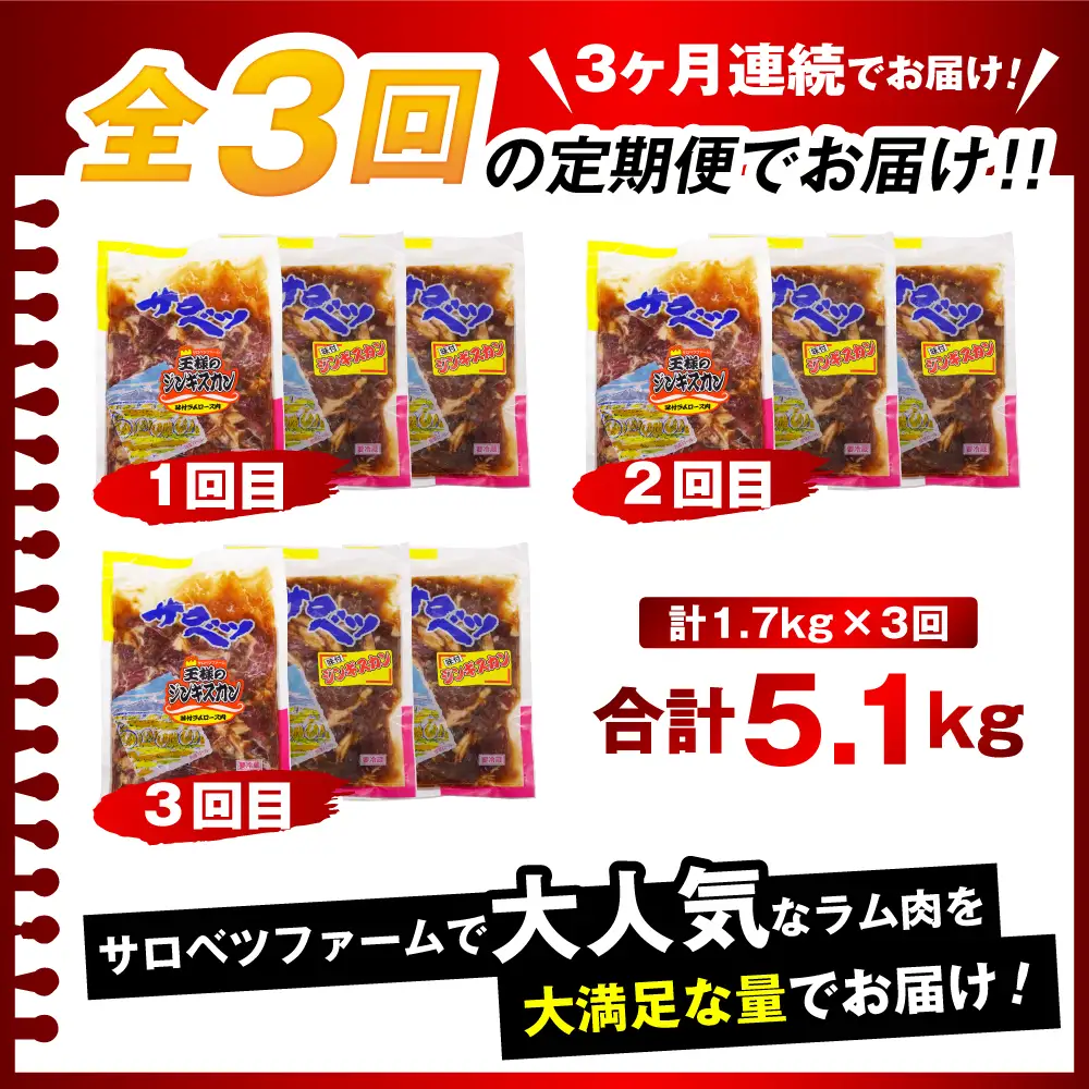 【定期便 3か月】焼肉ジンギスカンセット【王様のジンギスカン（味付きラムロース）1袋＋味付きラムジンギスカン2袋】 計9袋 5.1kg