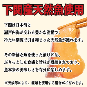 漬け海鮮丼 3種×2 計6食セット 海鮮丼 6P 魚介 EY