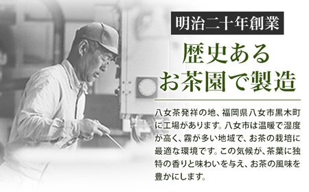 八女茶 ティーバッグ 200g 100パック 入り《30日以内に発送予定(土日祝日除く)》福岡県 小竹町 八女産 煎茶 日本茶 水出し 冷茶 送料無料
