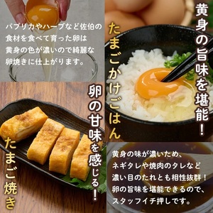 ＜定期便・全12回＞産直・平飼い有精卵 (総計720個・60個×12回(毎月発送)) 卵 玉子 卵かけご飯 玉子焼き 平飼い 鶏 鶏卵 養鶏場直送 朝採れ 新鮮 大分県 佐伯市 【HM10】【佐伯養鶏場】