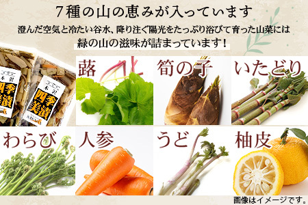 木沢特産 ふるさとの味 四季美漬 (しょう油漬) 250g×4袋【徳島県 那賀町 国産 山菜漬け 醬油漬 漬物 漬け物 加工品 山菜 味付き ごはんのおとも ご飯のお供 惣菜 おかず 副菜 小鉢 調味済み おつまみ お酒の肴 時短 お土産 お取り寄せ】MO-5