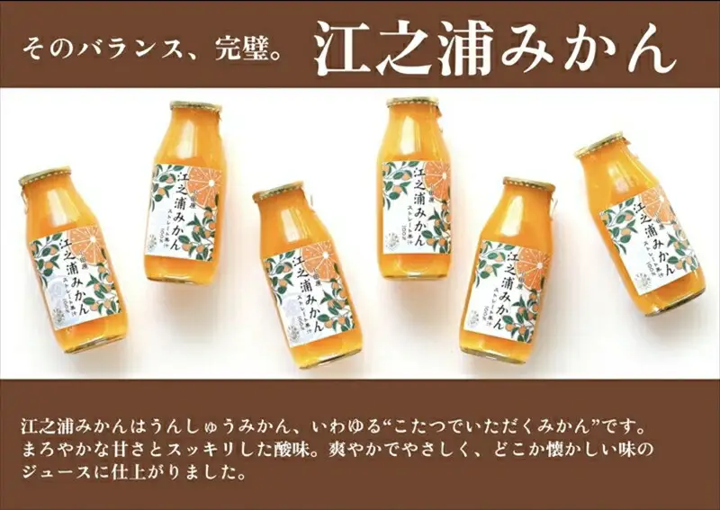 【定期便（2カ月ごと全4回）】小田原産江之浦みかん１００％ストレートジュース５００ml１２本【みかんジュース みかんジュース 神奈川県 小田原市 】