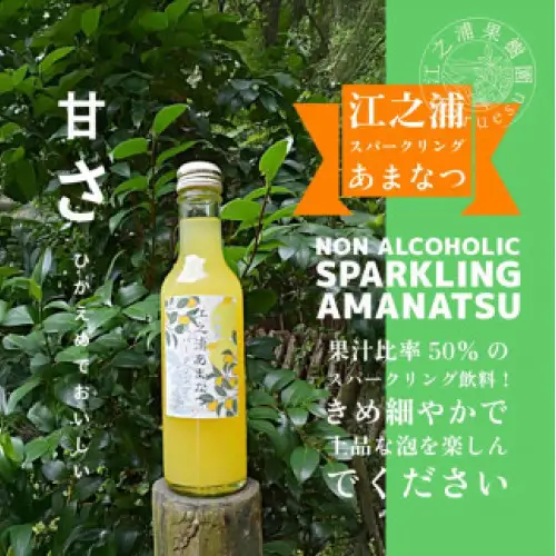 小田原産江之浦あなまつスパークリング果汁入り飲料果汁５０％２００ml１２本