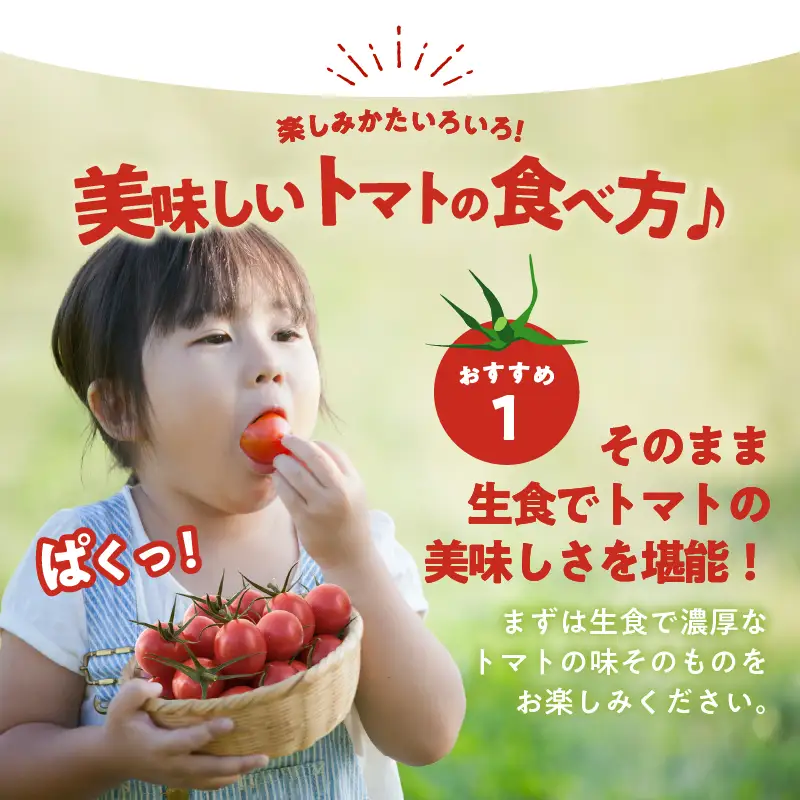 ≪期間限定≫オリジナルブランド「フルーツトマト ゆき」計2kg ミニトマト 野菜 サラダ 国産_T047-0045