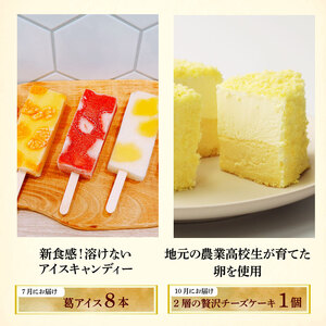スイーツ 定期便 全4回 チーズケーキ ガトーショコラ モンブラン 葛アイス アイス チーズ お菓子 デザート おやつ 新柳本店 新潟 新発田 sinyanagi004_01
