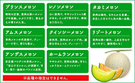 【先行予約】メロン 訳ありメロン 品種おまかせ 約4kg 2-7玉 ランダム 株式会社Foody’s 食彩たかみ《2026年5月下旬-7月下旬頃出荷》 おまかせ ご家庭用 メロン フルーツ 菊池市産 熊本県産 九州産 冷蔵 送料無料