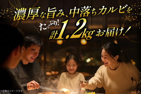 カルビ 焼肉 つぼ漬け 中落ちカルビ 200g 6パック 計1.2kg [焼肉銀座園 北海道 砂川市 12260731-c] 