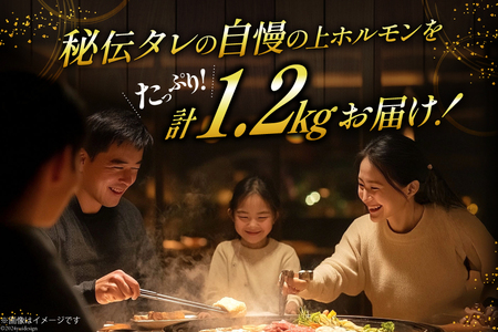 ホルモン 豚 上ホルモン 直腸 みそ味 200g 6パック 計1.2kg [焼肉銀座園 北海道 砂川市 12260735-c] 
