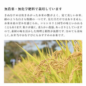 有機JAS 米 令和7年産 有機栽培 きぬむすめ 玄米 10kg(5kg×2)[ お米 オコメ 無農薬 無化学肥料 有機 JAS有機農業 農産物 ]