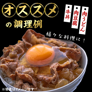 【小分け】＜A5等級＞鹿児島県産黒毛和牛 切り落とし(250g×10P・計2.5kg) 牛肉 肉 小分け 切落し 切り落とし 切り落し 国産 鹿児島県産 黒毛和牛 A5 全国和牛能力共進会 牛丼 c0-121