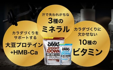ザバスプロウエイトダウンお試しセットA（ウエイトダウンチョコレート風味800ｇ・ウエイトダウンヨ－グルト風味280ｇ）【SAVAS ザバス プロテイン 人気プロテイン 明治プロテイン 健康 健康食品 美容 ボディメイク 体づくり 筋トレ 岡山県 倉敷市 人気 おすすめ】