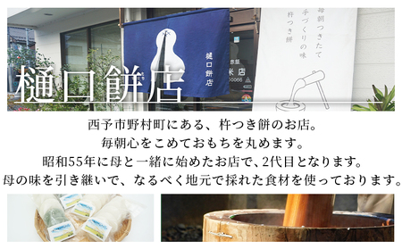 ＜樋口餅店の杵つき白餅 20個＞ もち 餅 モチ 丸もち オモチ ぜんざい お汁粉 おしるこ 雑煮 お雑煮 正月 お正月 食品 樋口餅店 愛媛県 西予市【冷凍】『1か月以内に順次出荷予定』NHM0002