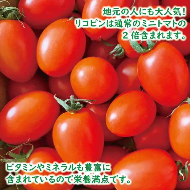 高糖度完熟ミニトマト 約2kg 【あいこ】