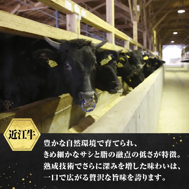 松喜屋 近江牛 ハンバーグステーキ 特製ミートソース×3個［A097］/ 手作り ハンバーグ ミートソース こだわり コク 晩御飯 送料無料 ギフト のし 熨斗 お歳暮