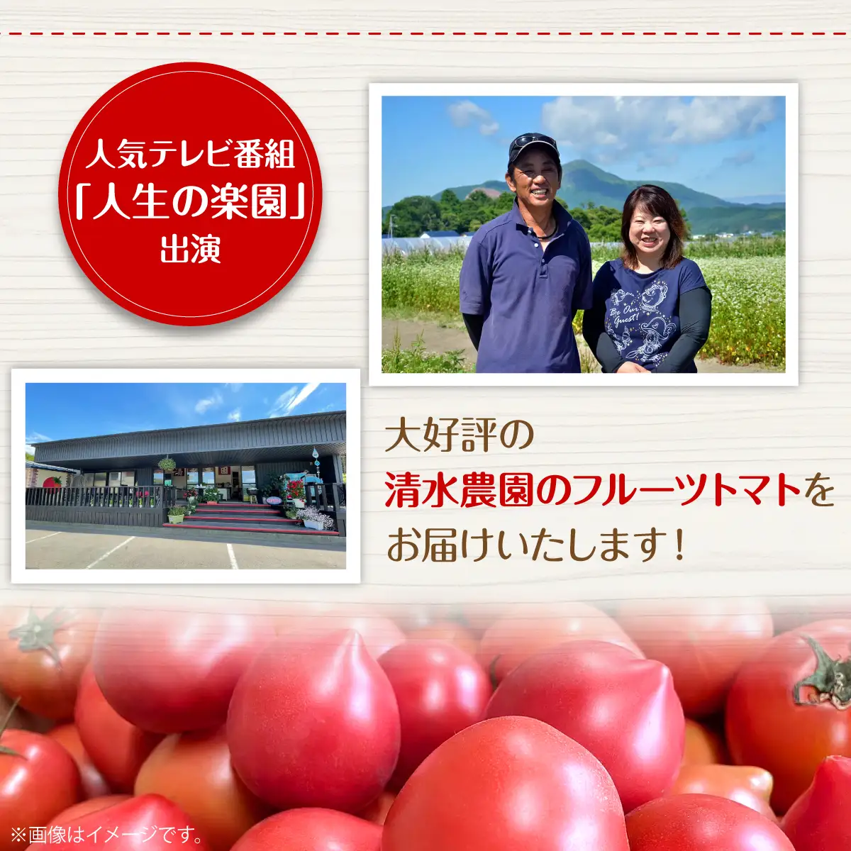＜2026年6月下旬よりお届け＞【農園直送】北海道壮瞥産 こだわりフルーツトマト　20玉以上 SBTO003