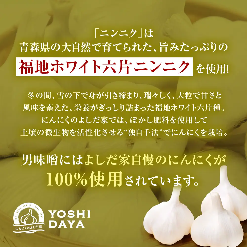 青森県産にんにく こうじなんばん 辛口 100g 3個 セット にんにく 米