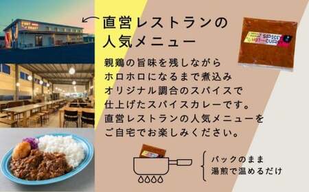 【全2回定期便】親鶏のスパイスカレー 5個（辛口）【テンアール株式会社】 カレー スパイス [AXAN085]
