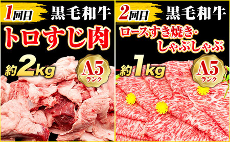 【4ヶ月定期便】極上 厳選 A5 ランク 特選 黒毛和牛 食べつくし セット 合計 7.2kg