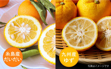 糸島産だいだいとゆずのお酒 500ml×4本セット 糸島市 / 山口食品工業株式会社[ABI003] 12000円 常温