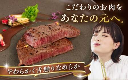 【全6回定期便】【A4/A5等級】博多和牛 ヒレステーキ 400g (100g×4枚)  糸島市 / ヒサダヤフーズ 黒毛和牛 牛肉 ステーキ肉  [AIA085]