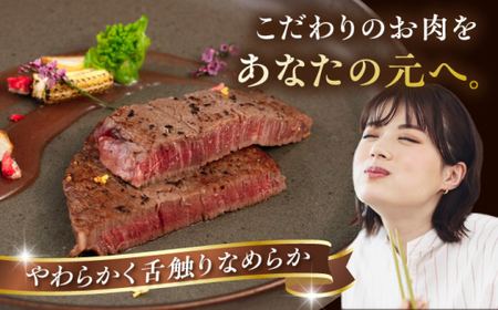 【全6回定期便】【A4/A5等級】博多和牛 ヒレステーキ 600g (100g×6枚)  糸島市 / ヒサダヤフーズ 黒毛和牛 牛肉 ヒレ肉  [AIA088]