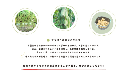 熊本産 ムクナ豆 パウダー 100g