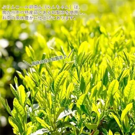 RANKOロールセット【配送不可地域：離島】【1185871】