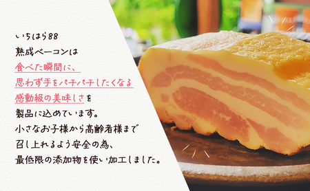 いちはら88熟成ベーコン約250g×12個入 ベーコン 冷凍 おかず おつまみ 市原市 千葉