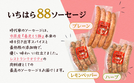 時代家ソーセージ5種詰め合わせ＋熟成ベーコン約500g 1個 ソーセージ ベーコン 冷凍 小分け 詰め合わせ セット おかず おつまみ 市原市 千葉