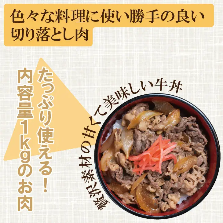 佐賀産和牛 切り落とし（1,000g）切り落とし B180-011