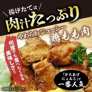 「からあげ にょんじ」秘伝のタレ漬け鶏肉セット（からあげ用 鶏もも肉500g+鶏むね肉500g） _NYJ0506