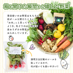 季節のお野菜 セット(7～9種) 野菜 やさい 詰合せ 詰め合わせ 季節 おまかせ お楽しみ【117000100】【やさしいお野菜 しん屋】